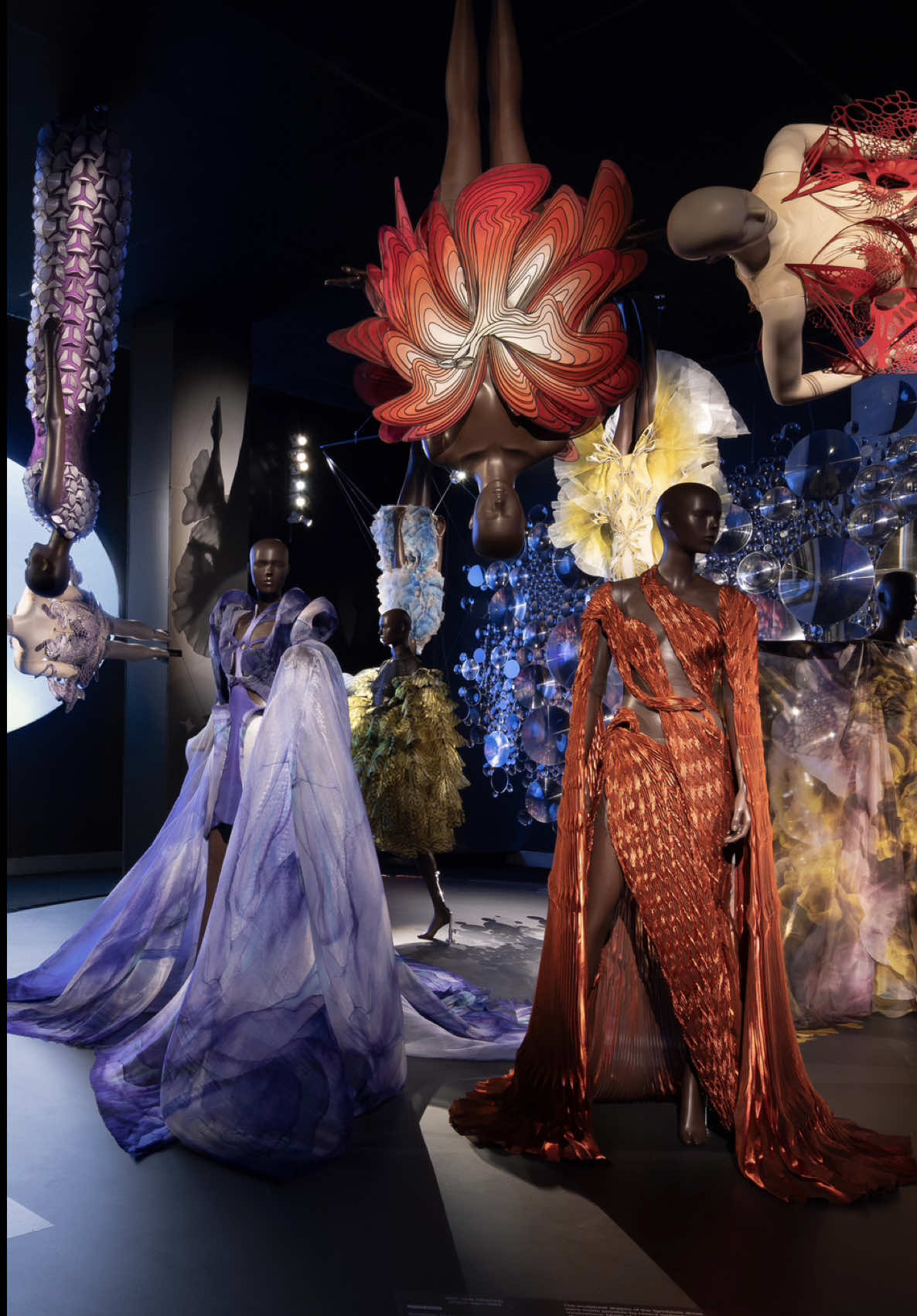 @Iris van Herpen Official