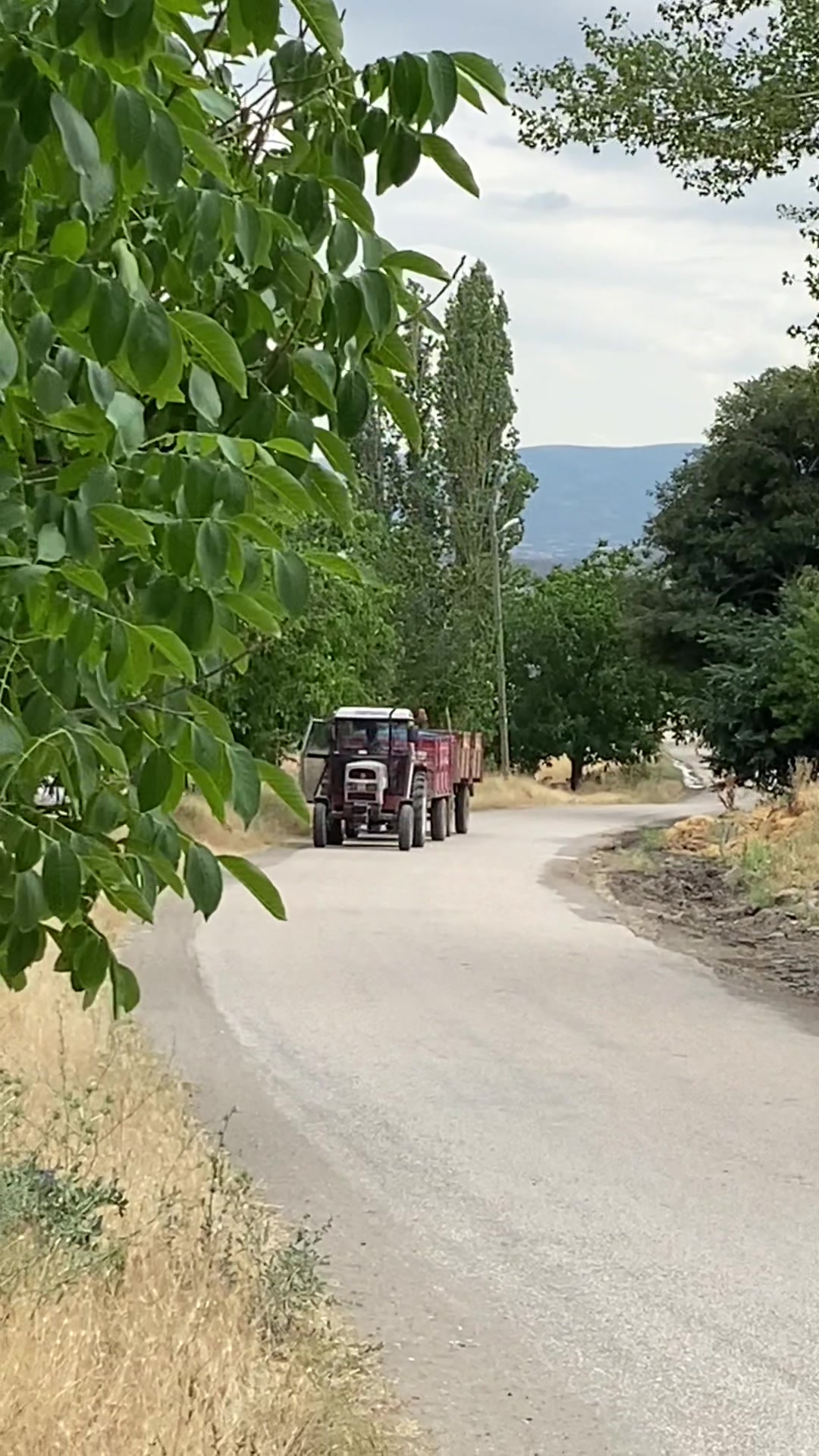 @Enes şahin