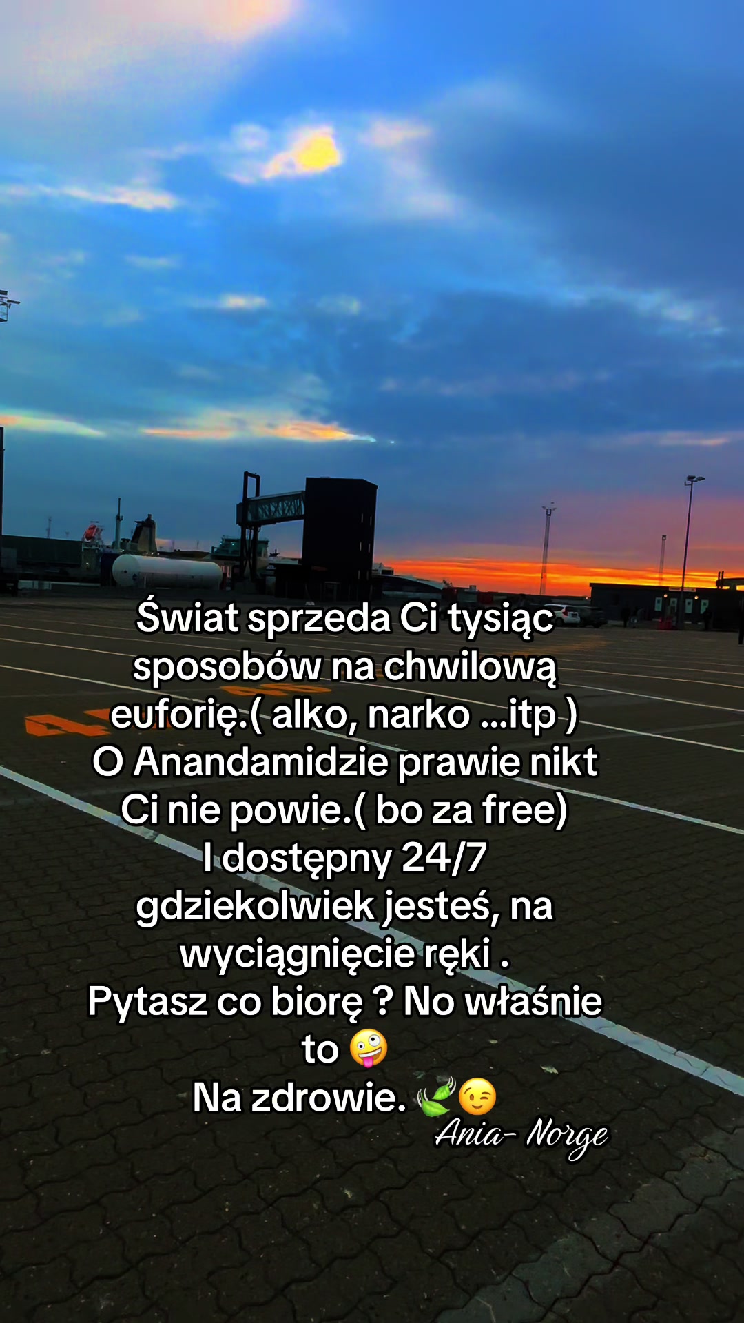 @HEALING | 🇵🇱Ania - Norge🇳🇴