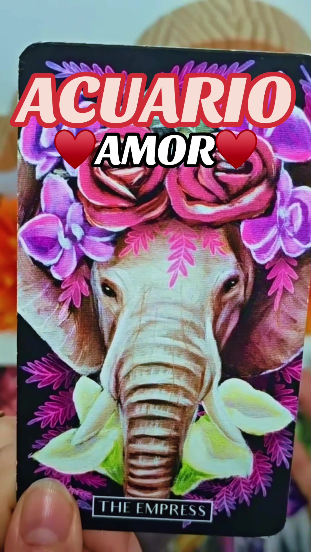 @Daniela Tarot