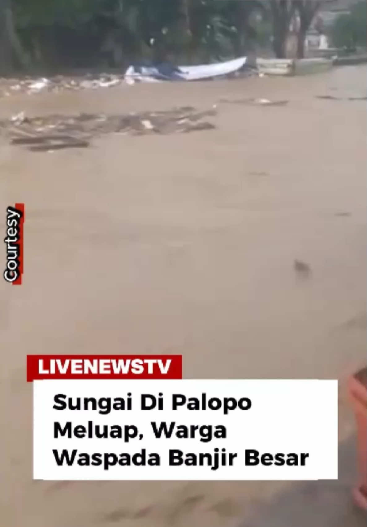 @livenewstvcom
