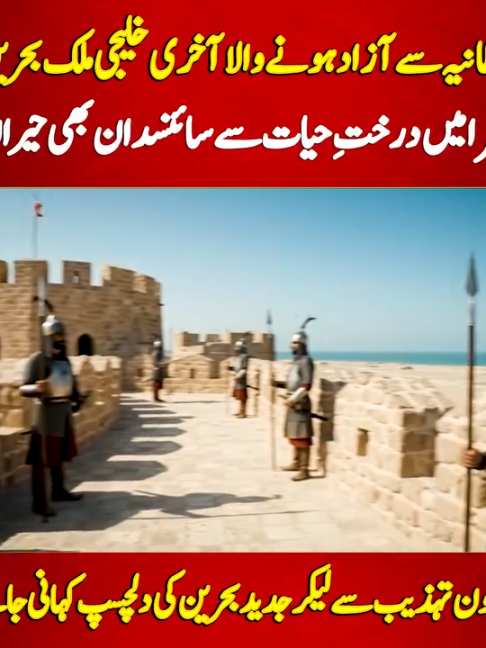 @92NewsDigital
