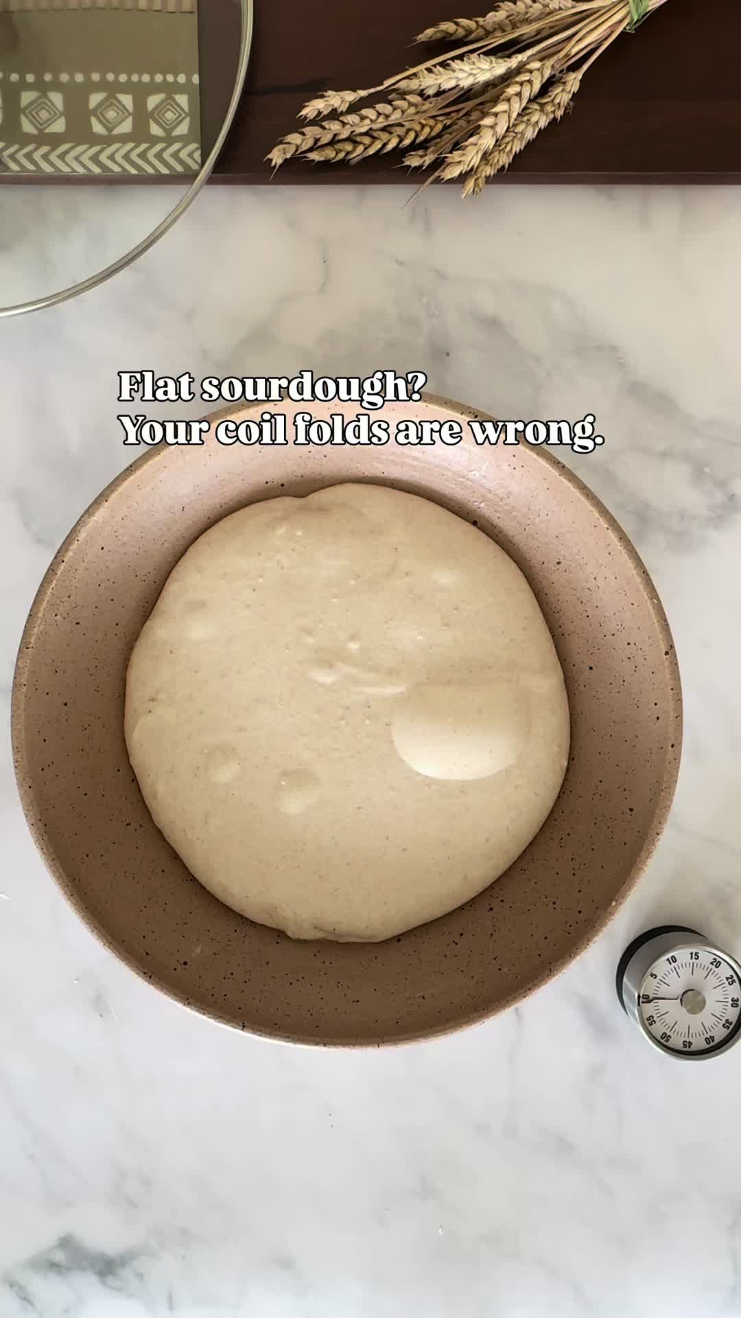 @Sourdough Wonders