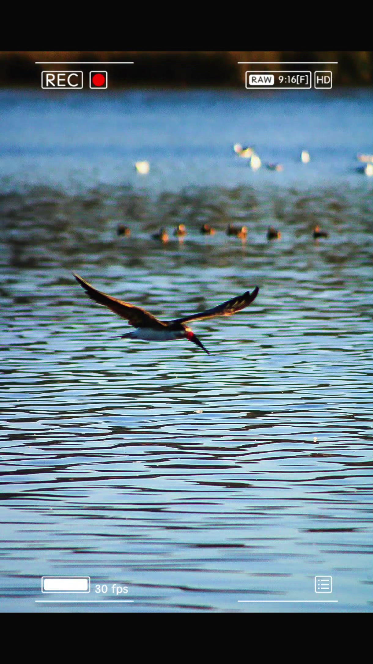 @Felipe Dinamarca Yeomans