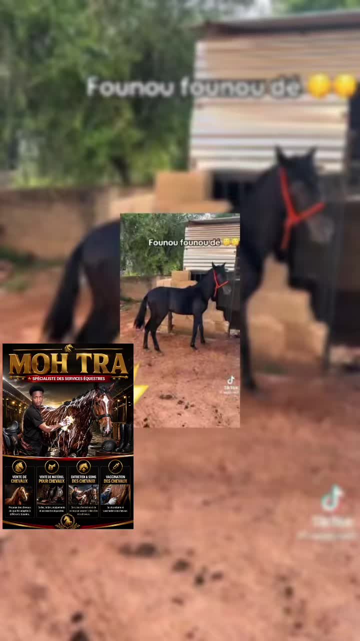 @Zoo 💙💙Ⓜ️ Tonton Mohtra57 💪