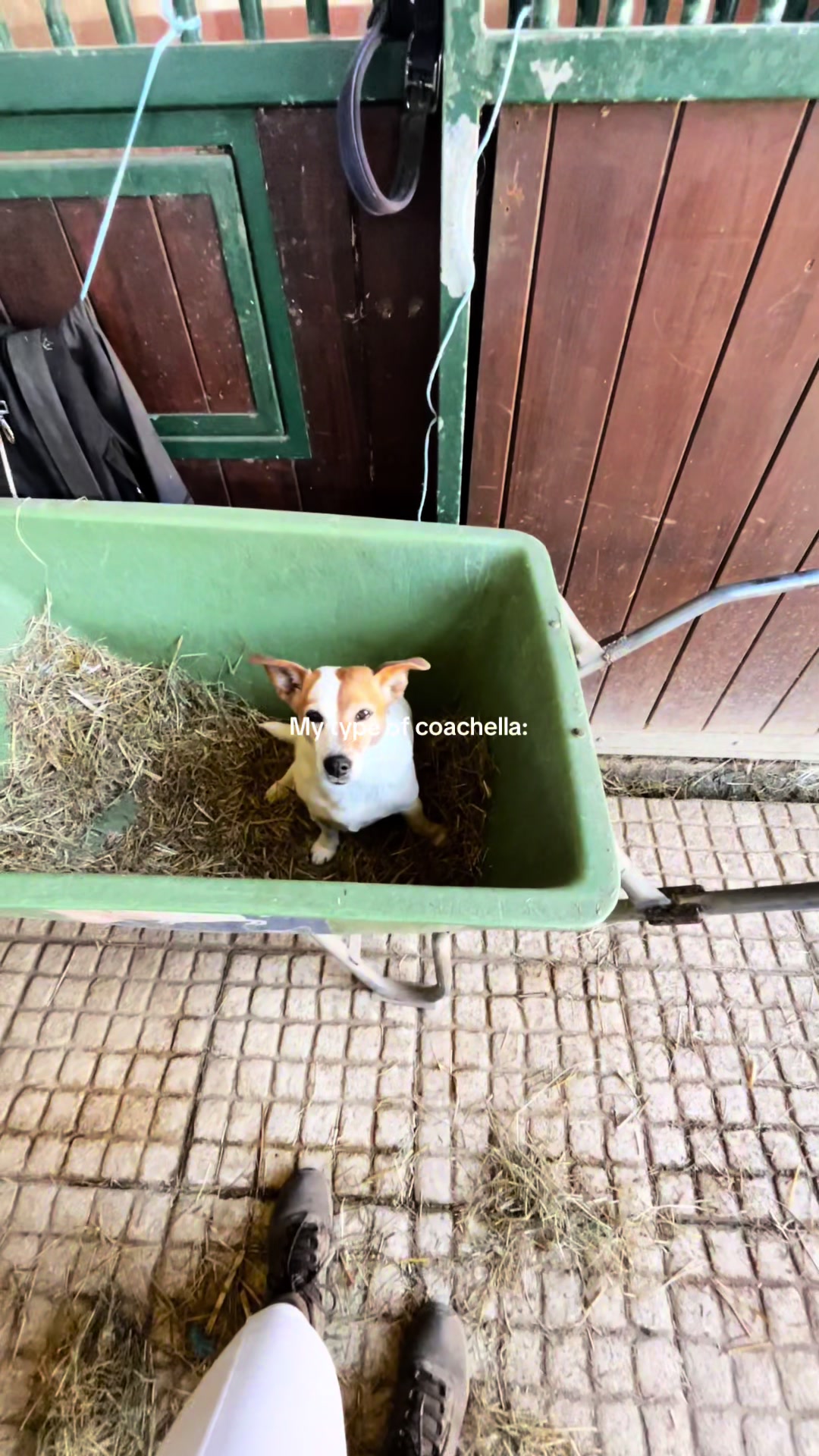 @𝑵𝒊𝒄𝒐𝒍𝒆