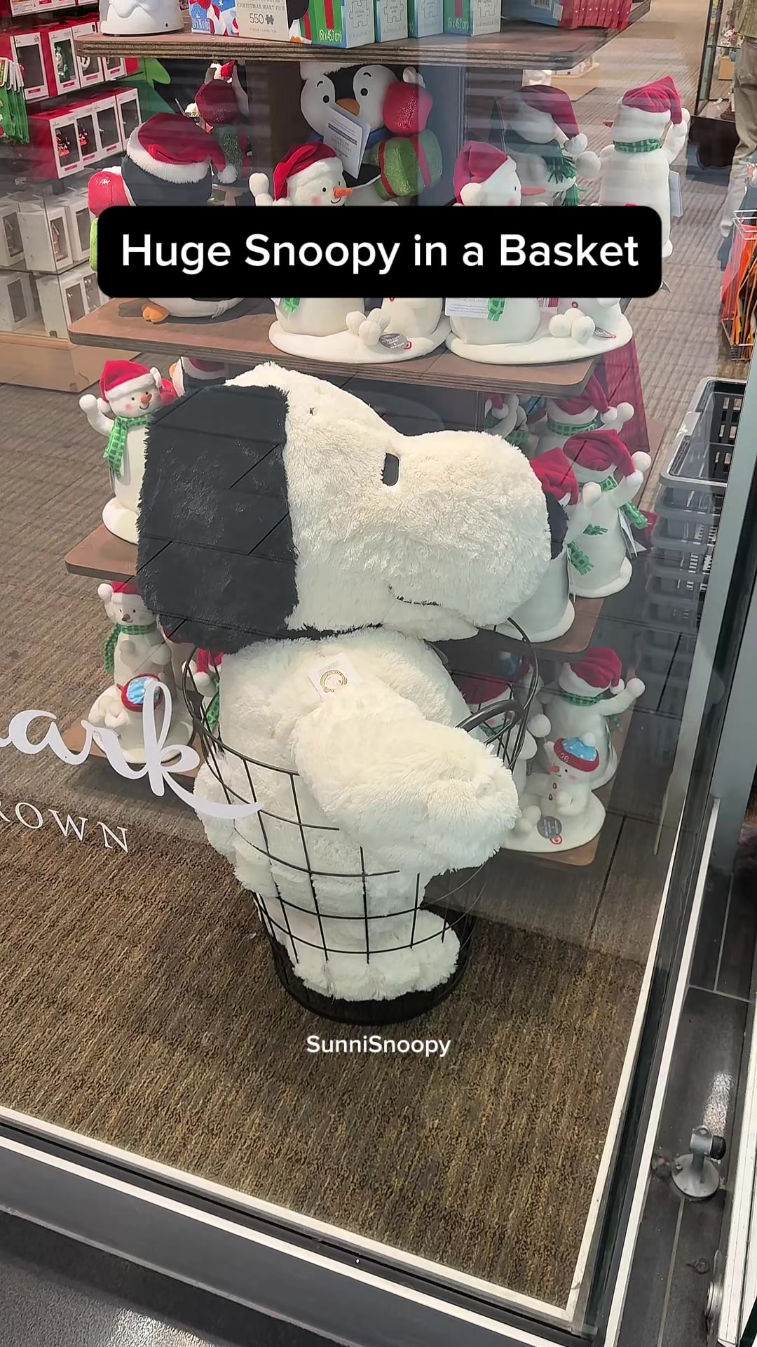 @SunniSnoopy | PEANUTS