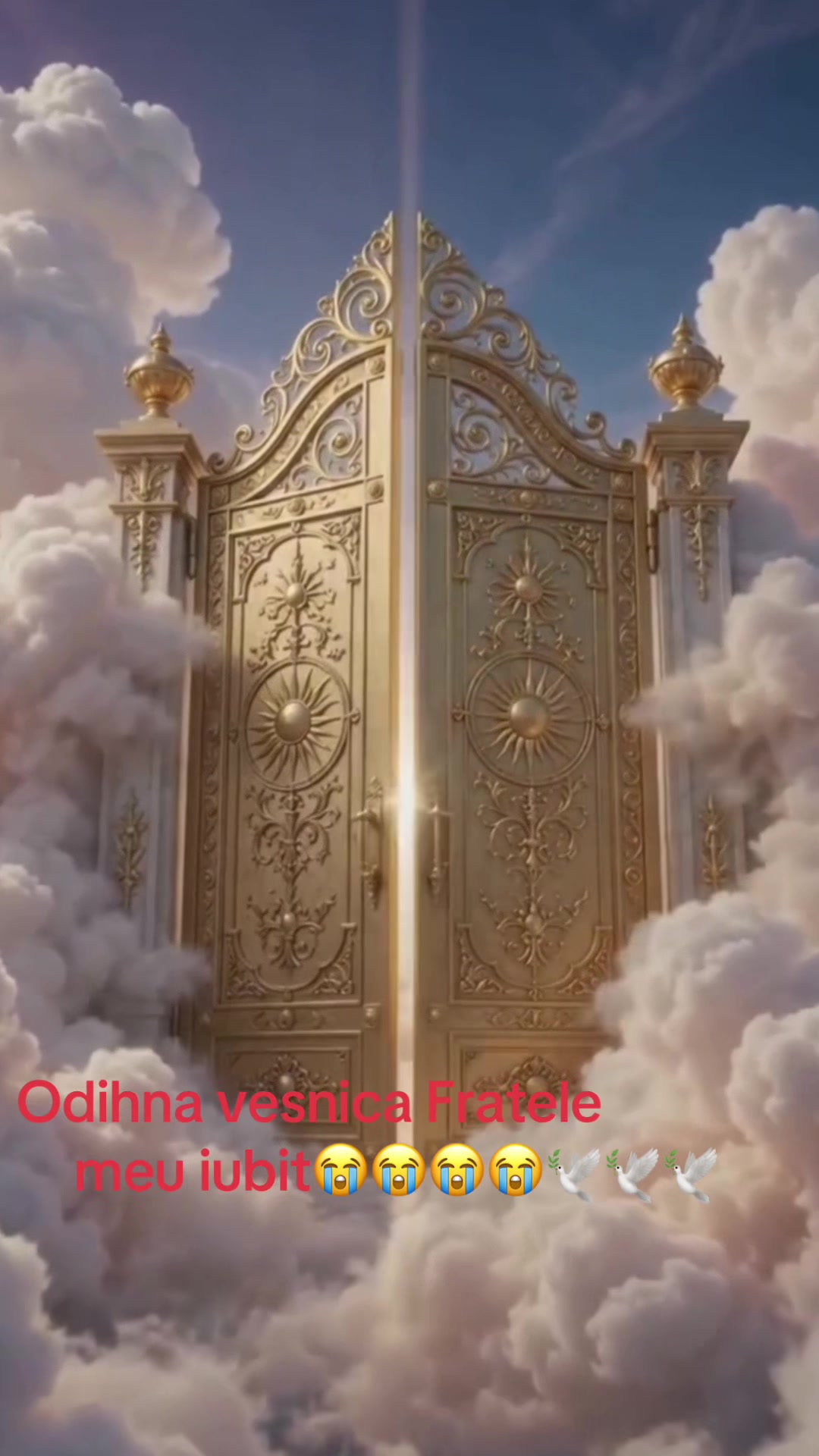 @giulian giulian