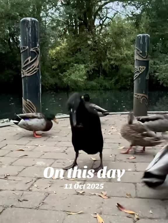 @flora_fauna_fur_feathers