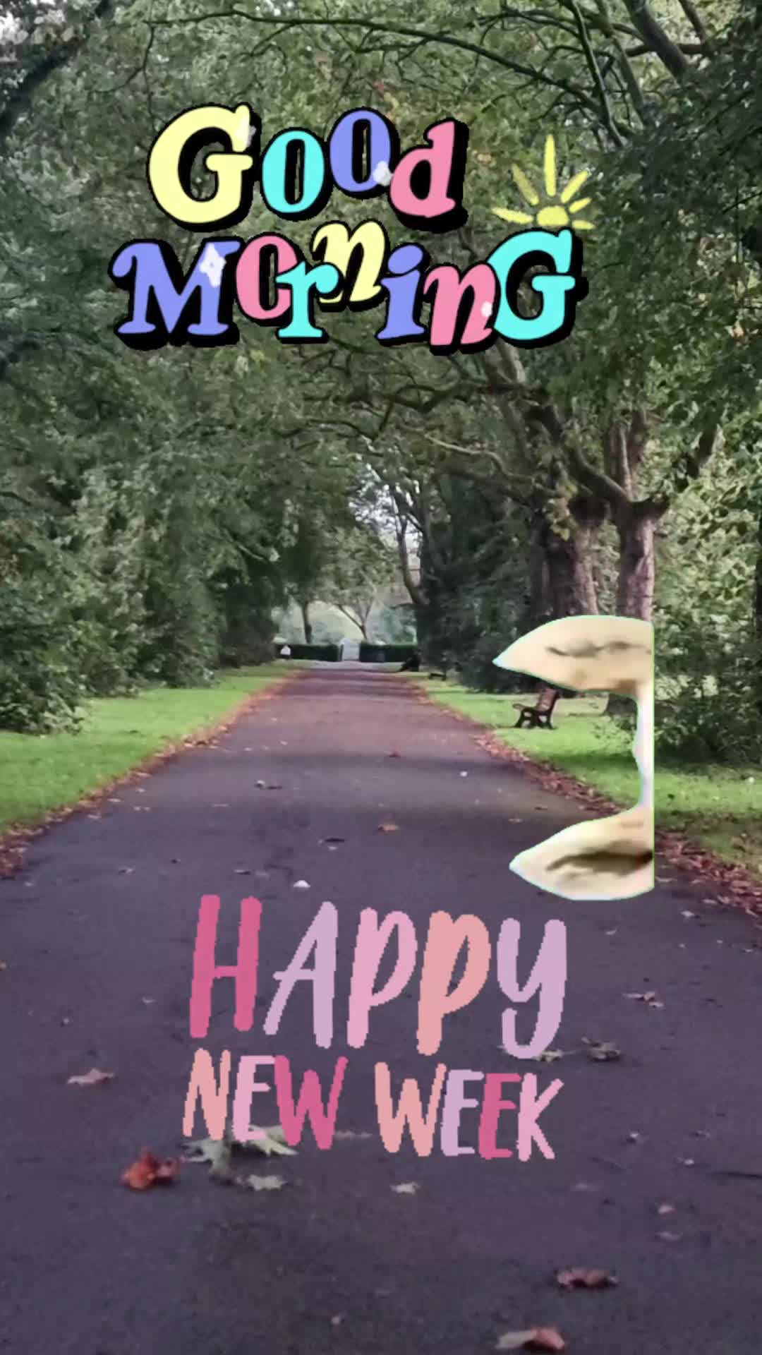 @ukmallu