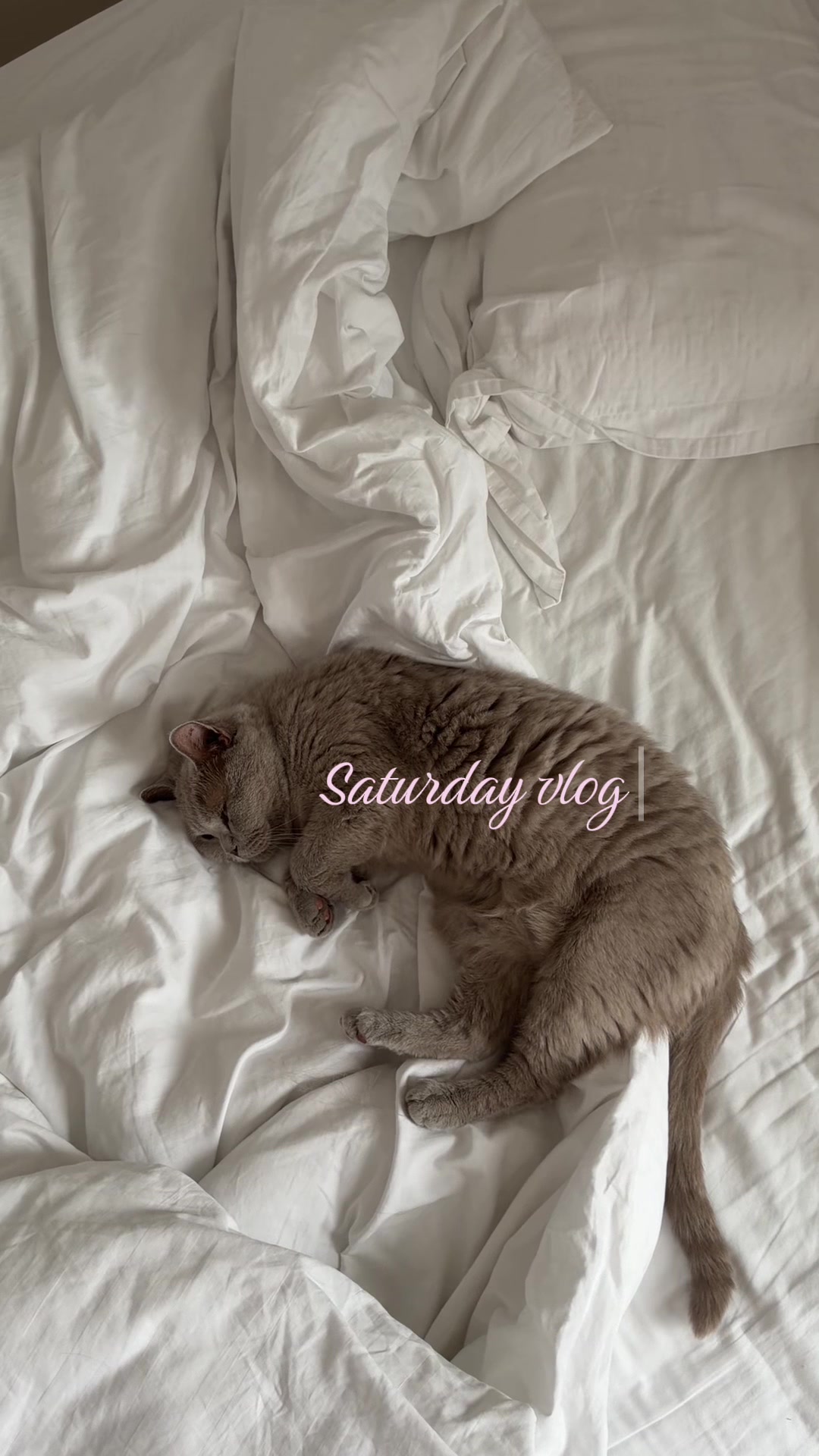@amberbalota