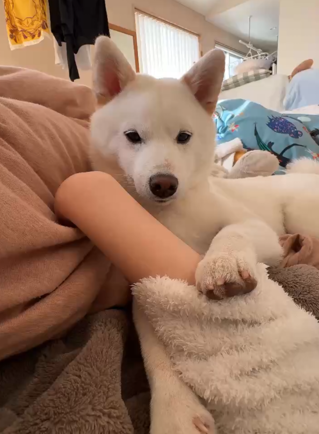 @Mochimaru
