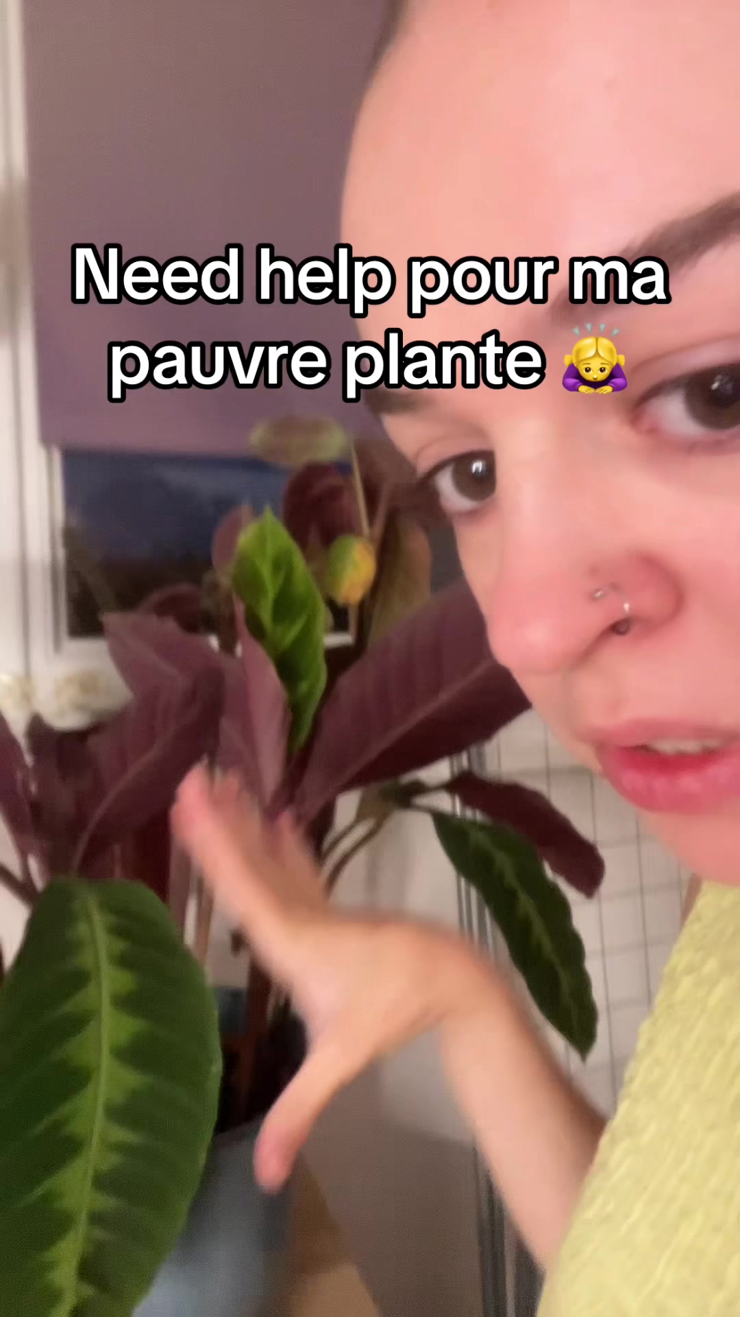@mag_about_mua