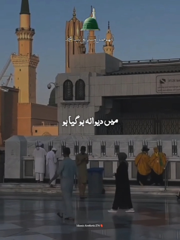@راجه لقمان 🦅