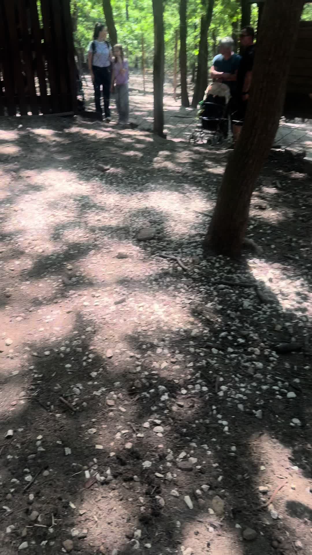 @_BambiTeee_