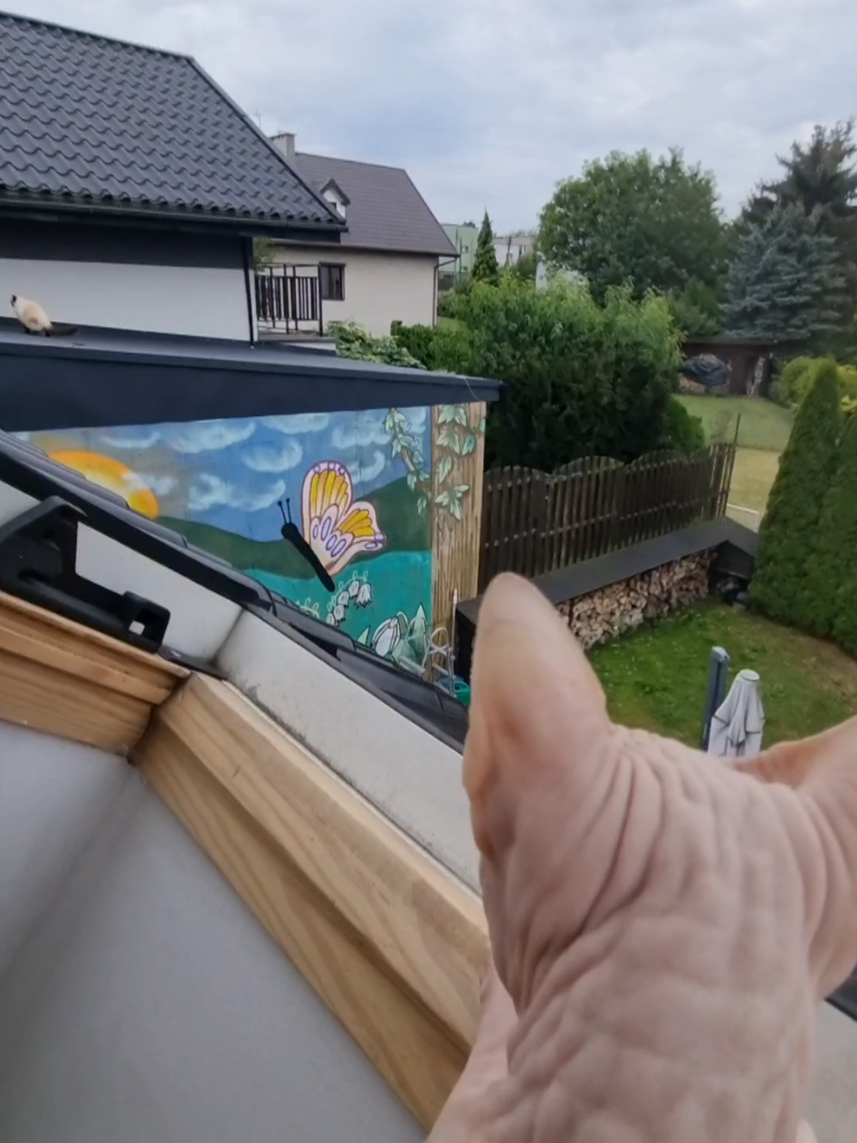 @Parisxtattoo
