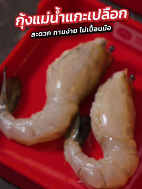 @xingxing_malashabu