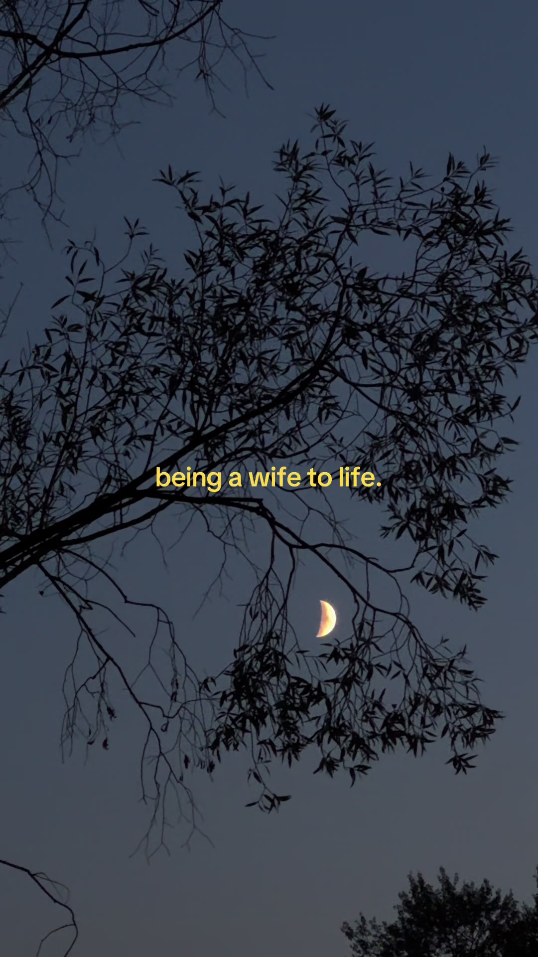@elle quotes