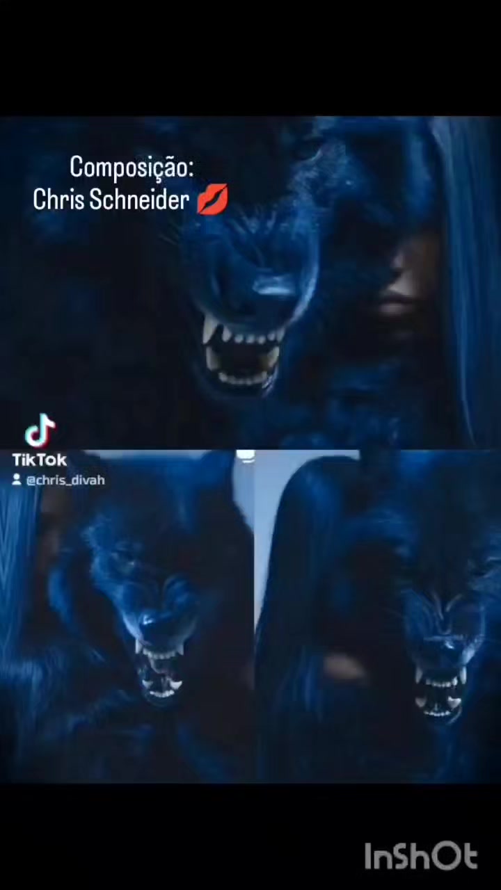 @Chris Schneider