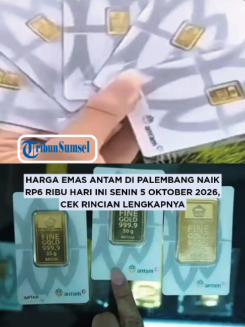 @Tribun Sumsel