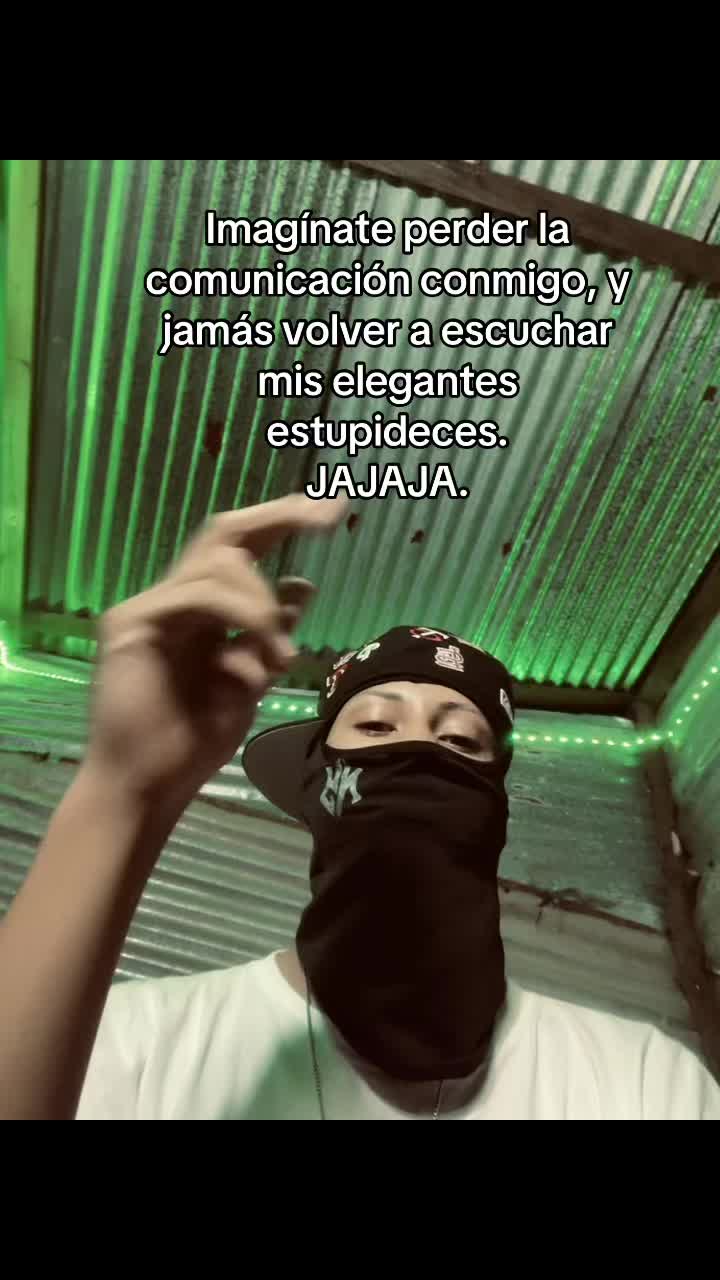 @caled cito.🕷️