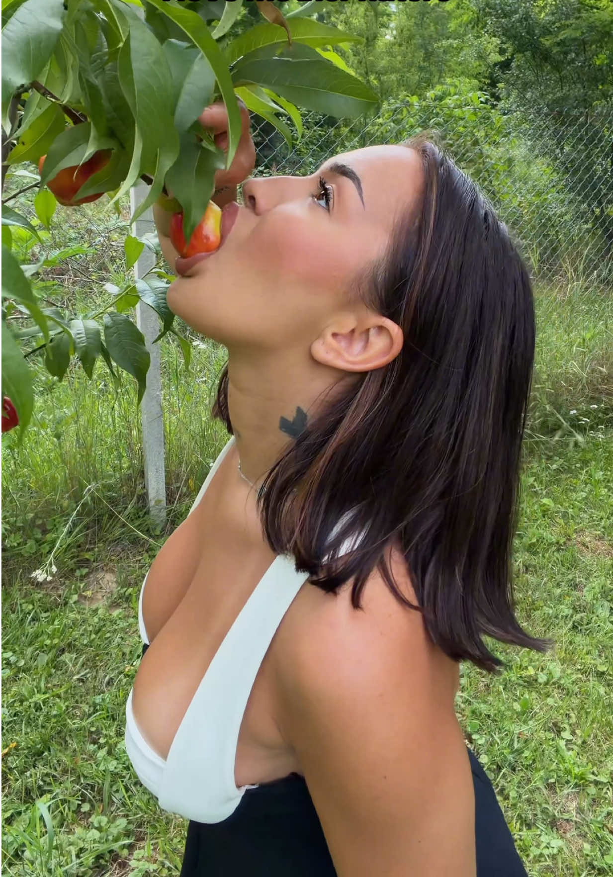 @EmillySteele