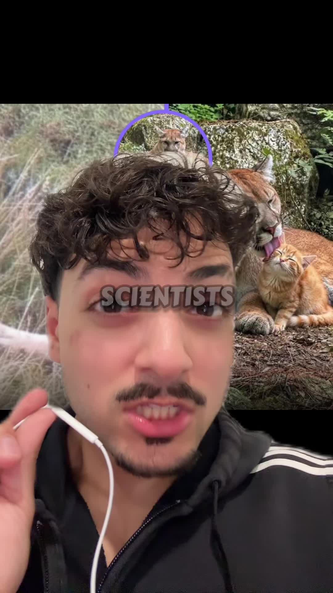@Sbladn