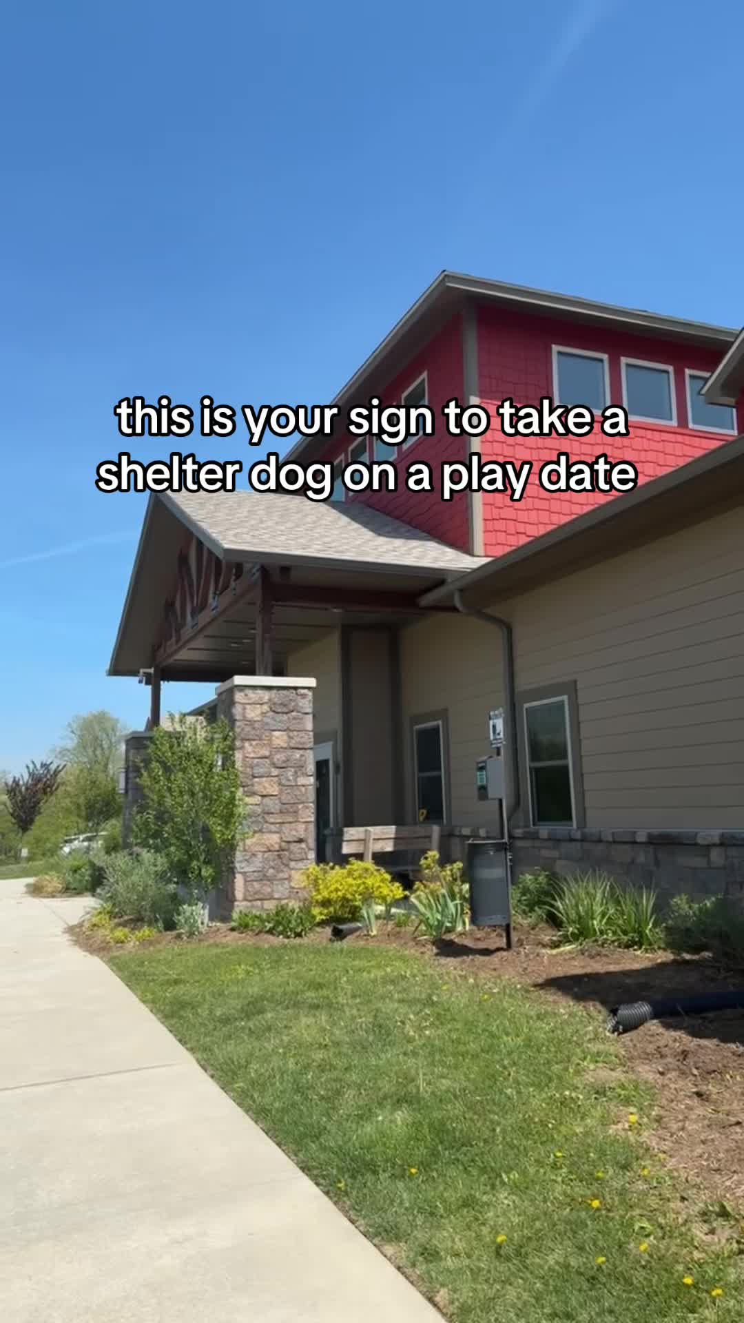 @sarah