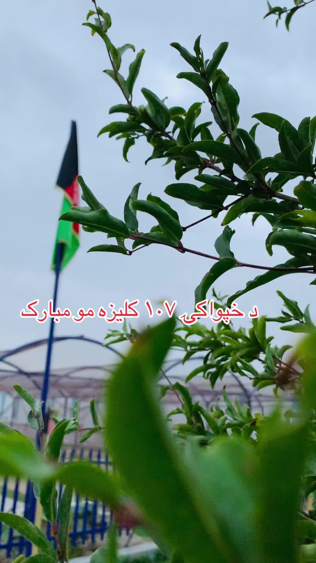 @AFG Khan