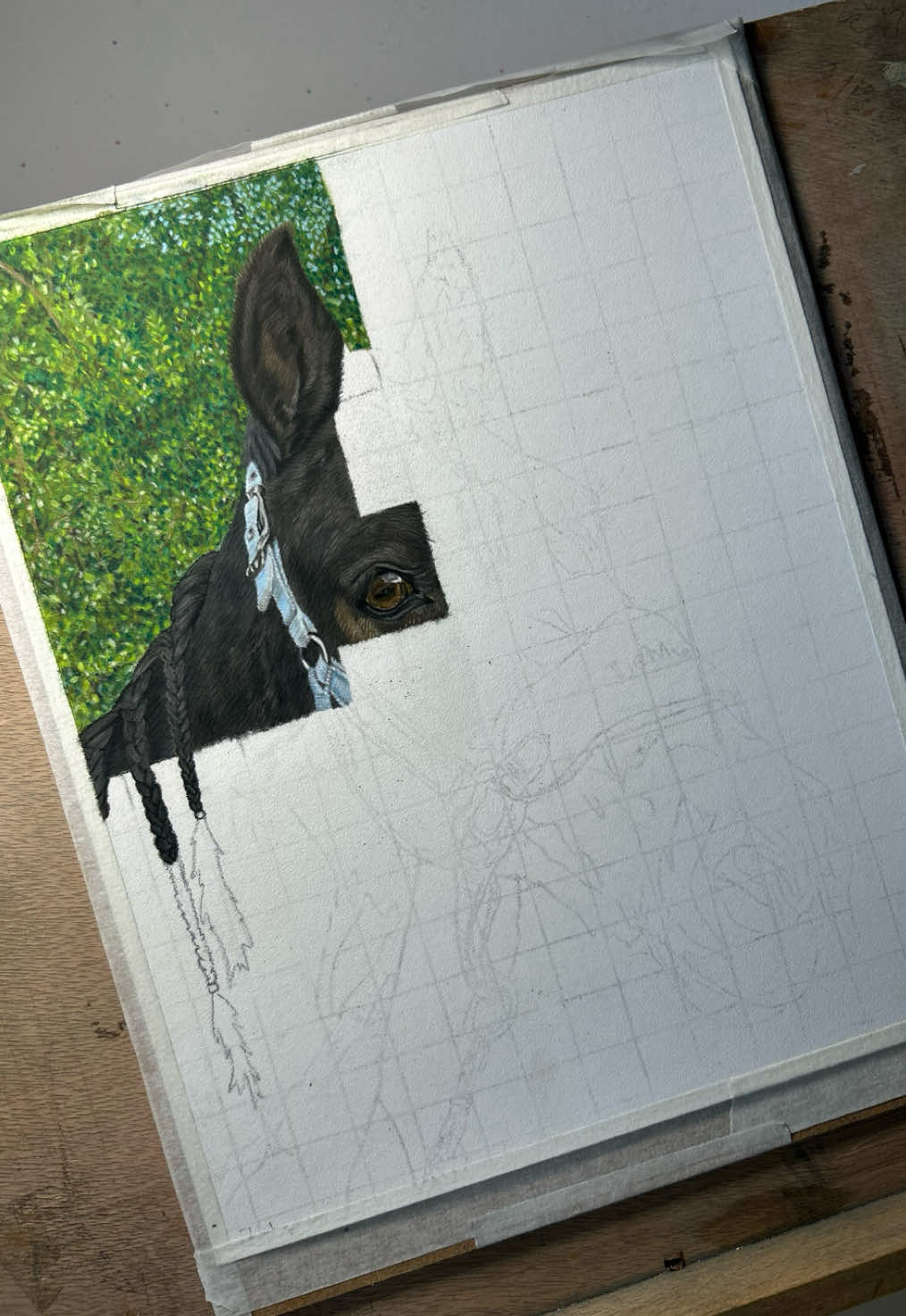 @Pet portraits