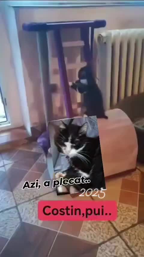 @2023