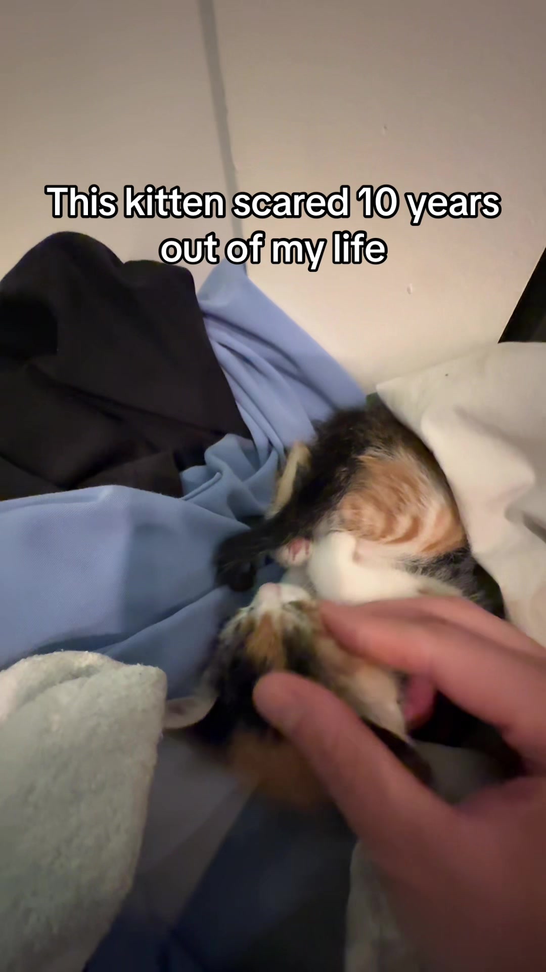 @Hassanwithkittens