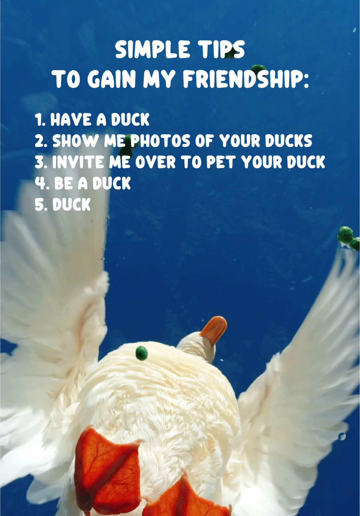 @ducks_in_space🪿🪿💦