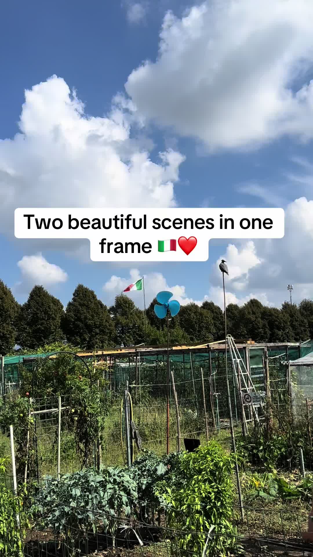 @Explore Everywhere 🌏
