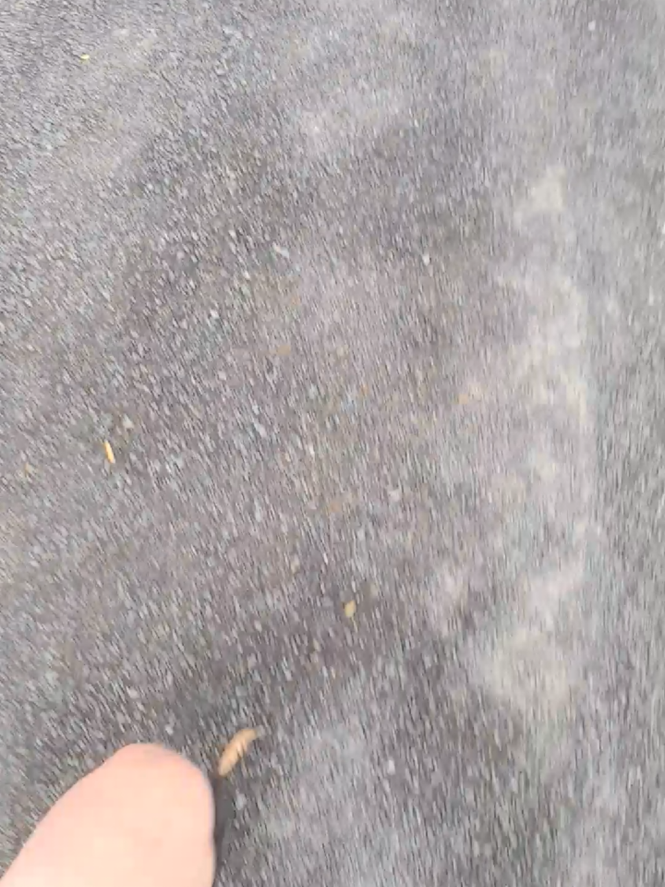 @melissapaterson87