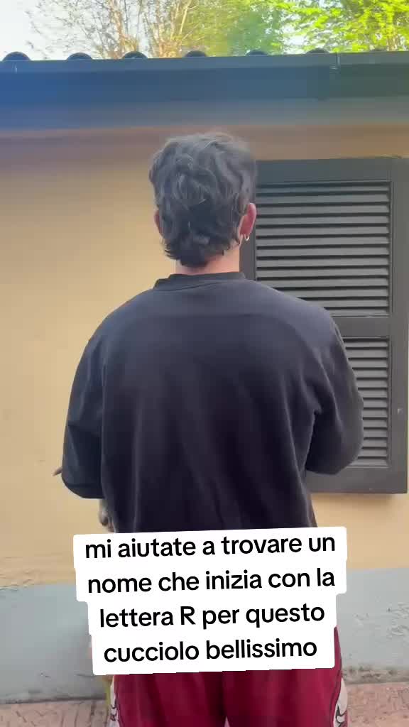 @⚠️ IL RE DEI BULLY ⚠️