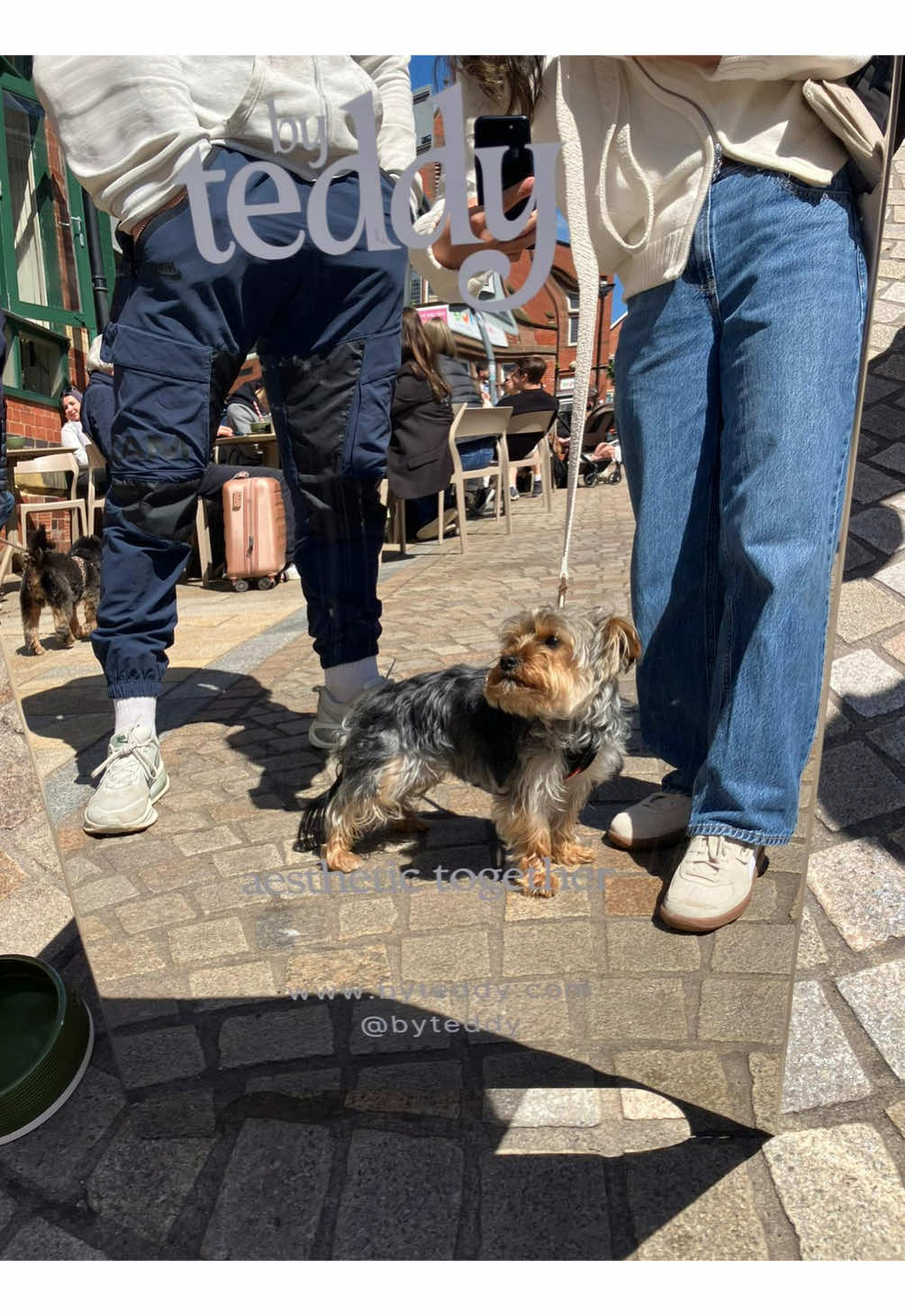 @Benjie the Yorkie