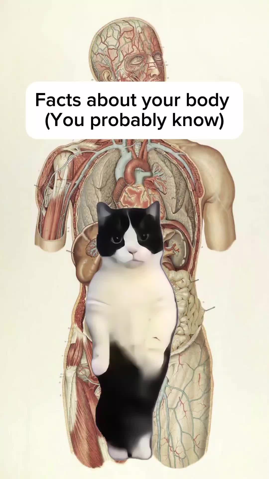 @Histonerd