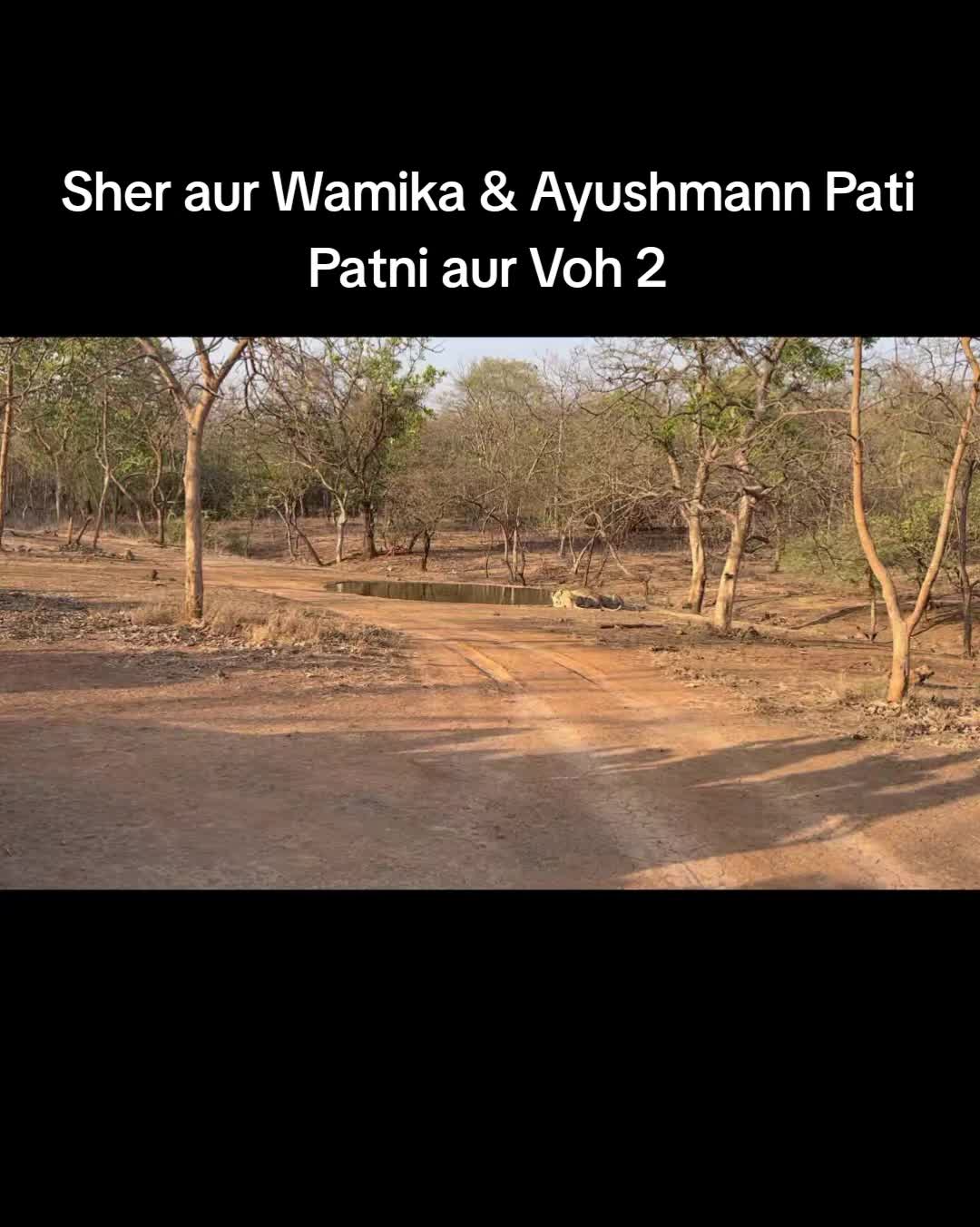 @Madhu Pal
