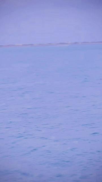 @☺🐯 Ꭵⓣ𝕊 м𝐞 🐠💛