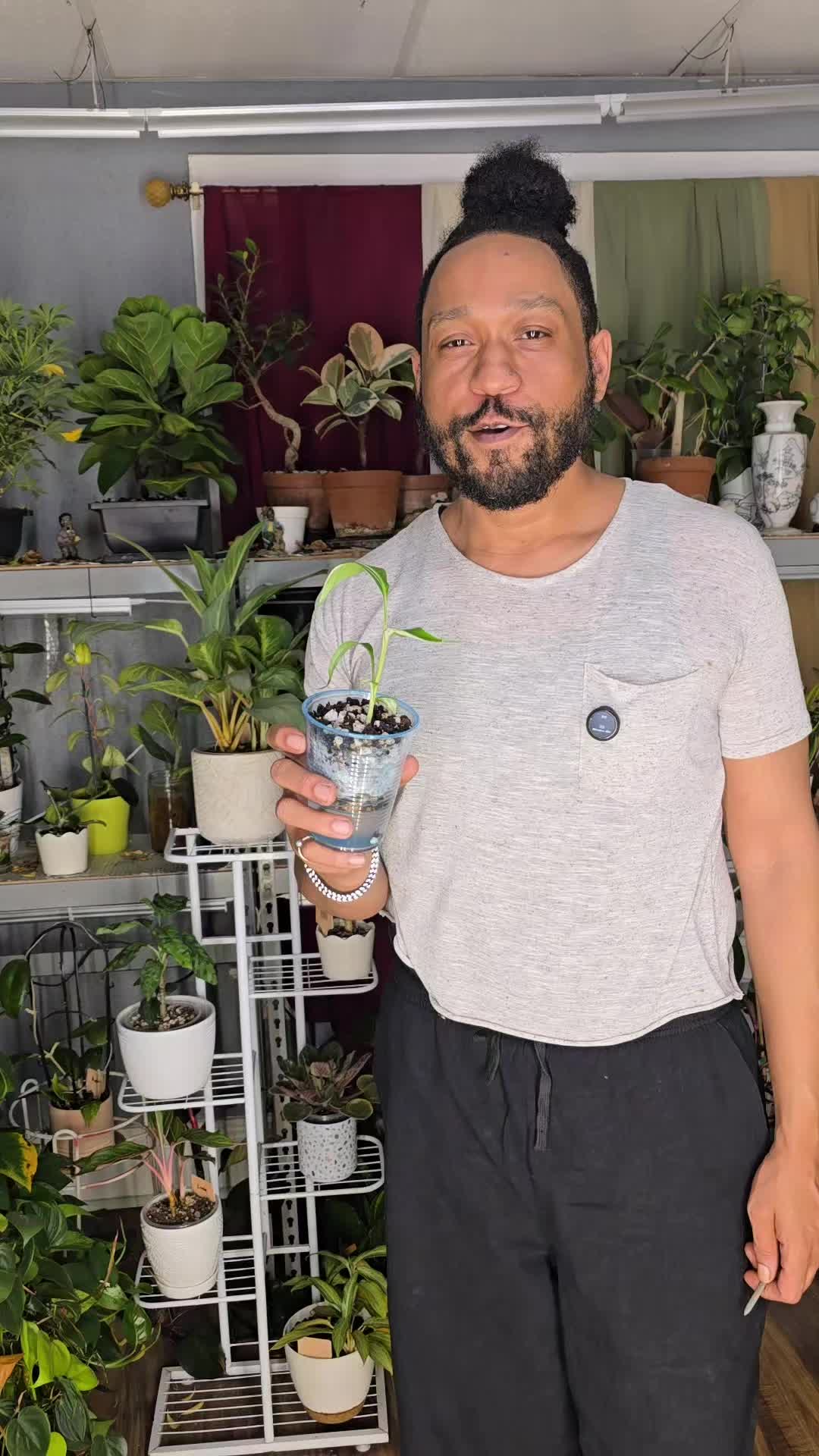@JT - BigEGOPlants