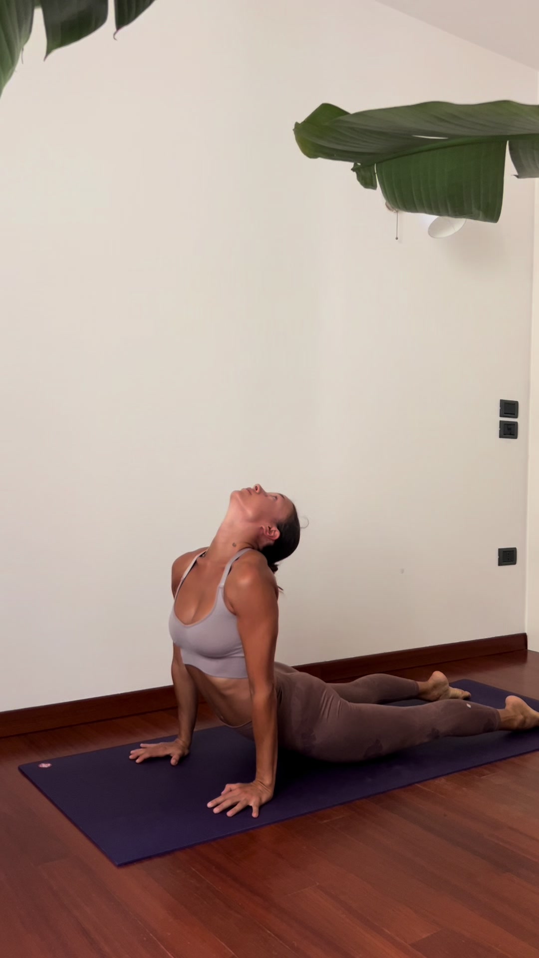 @Toyoga