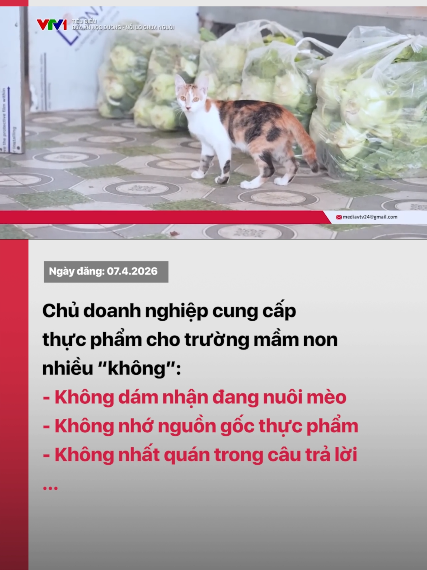 @VTV24
