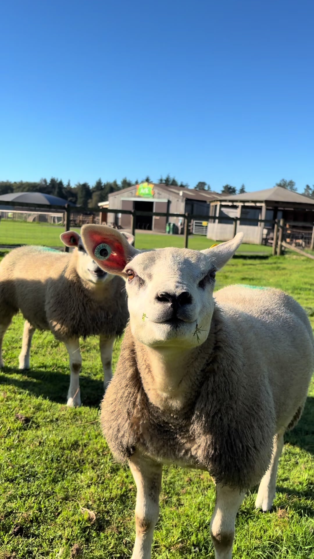 @Matlock Farm Park