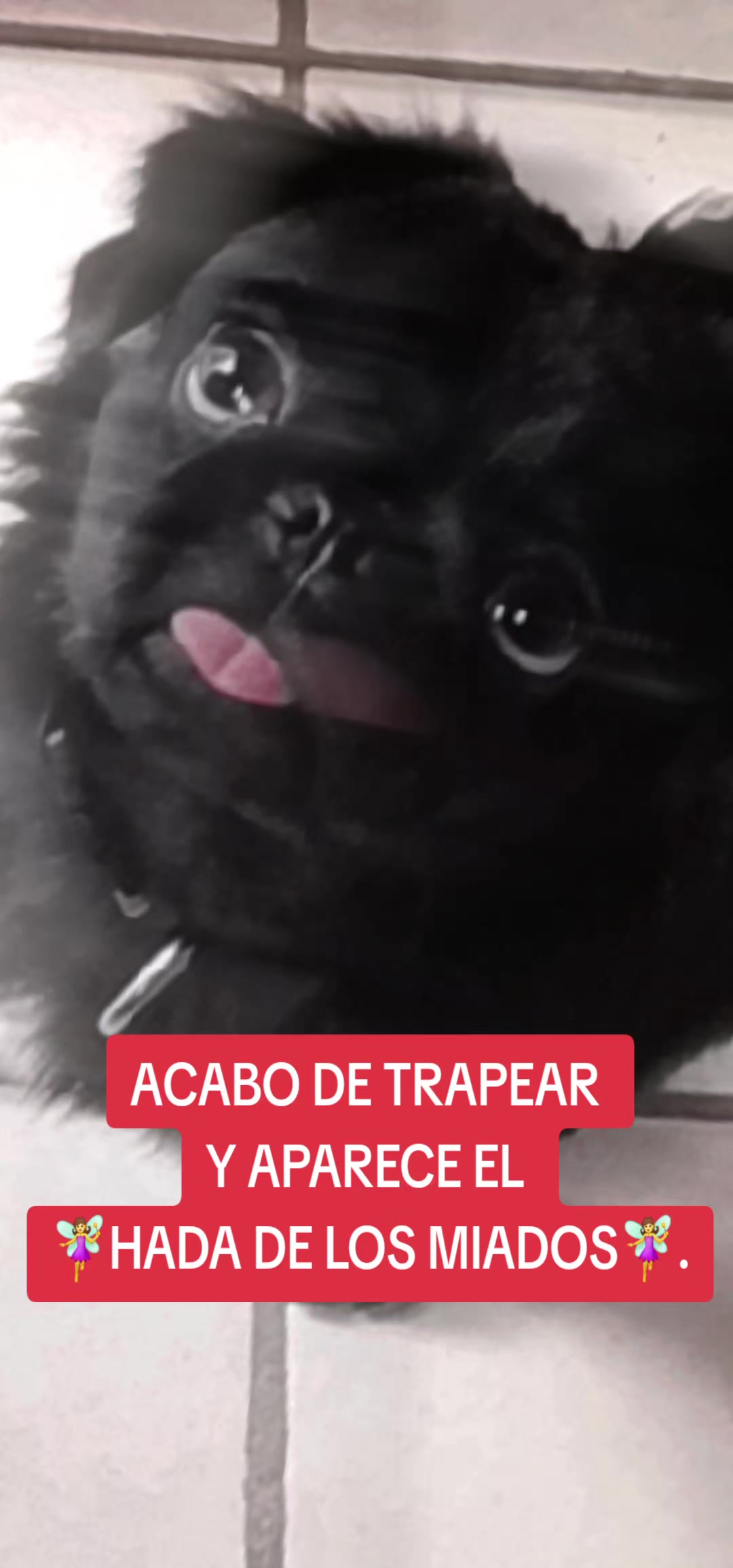 @TURA