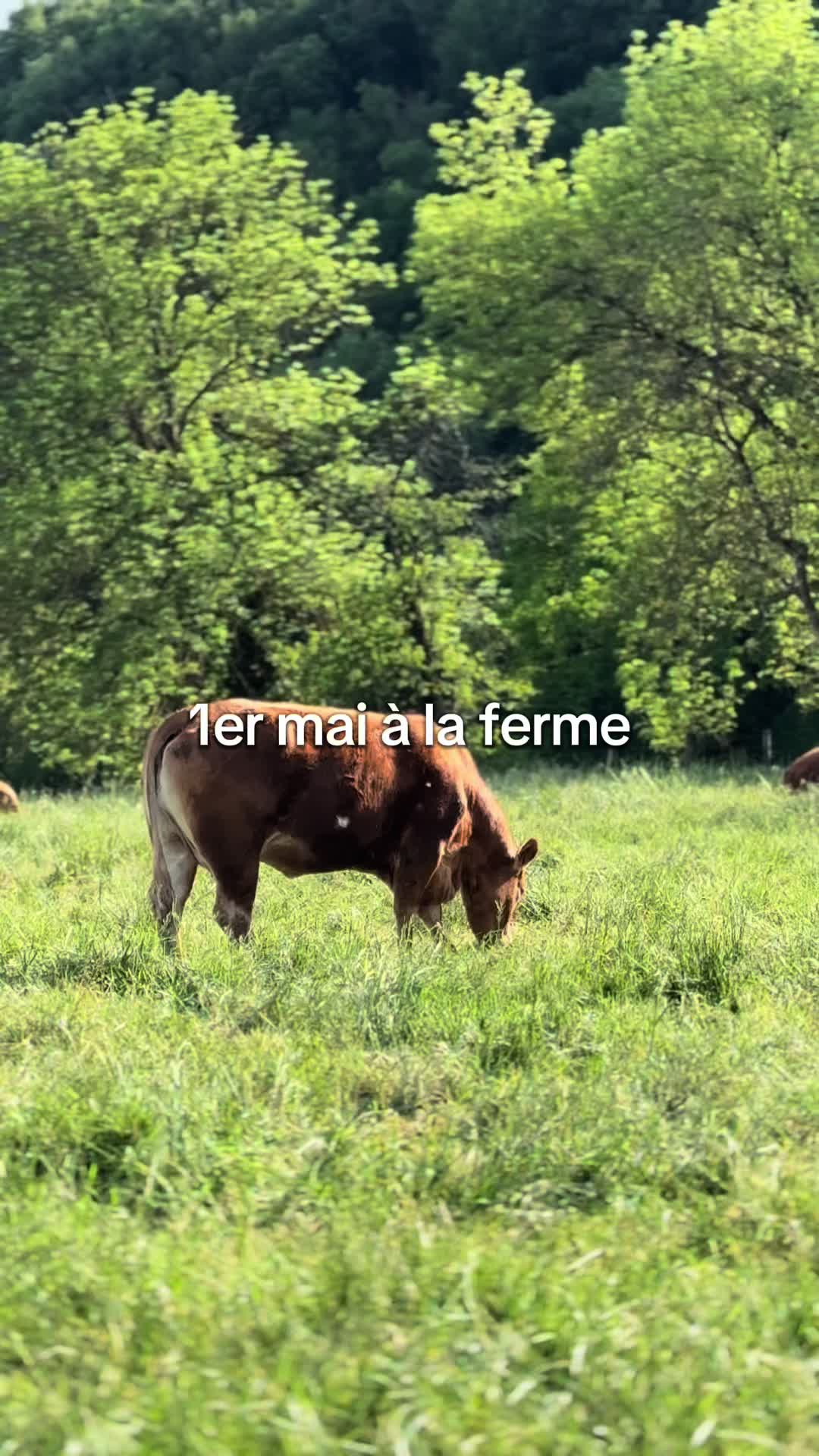 @SarAgri 🌿🌾