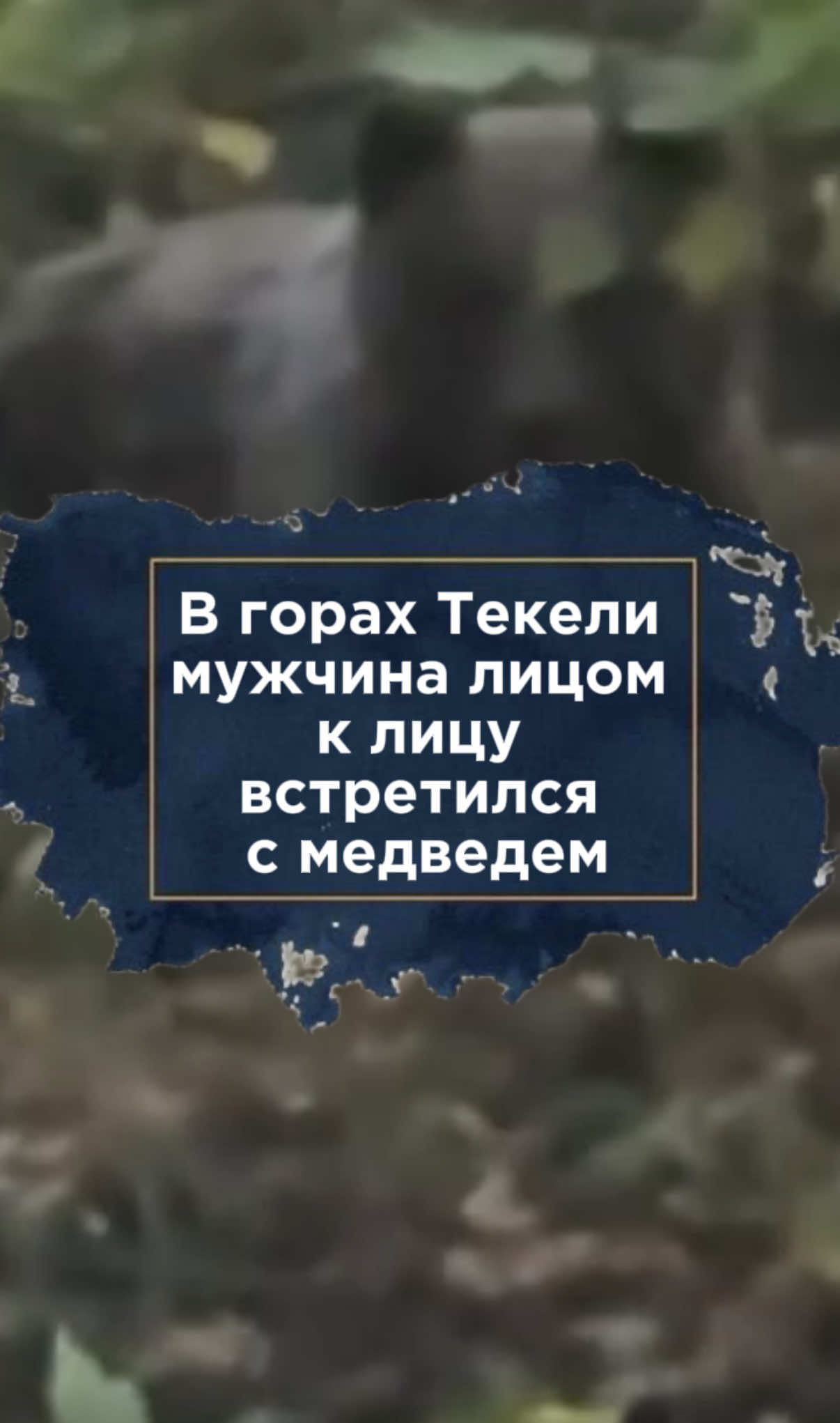 @zakon.kz ➡️ Новости Казахстана