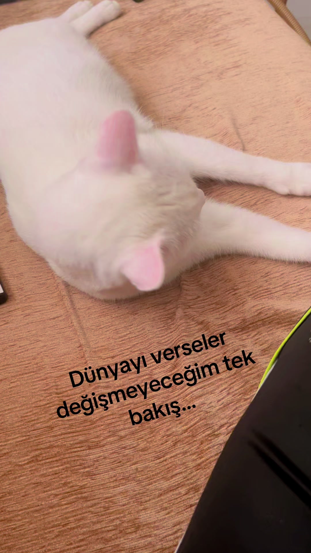 @Emre