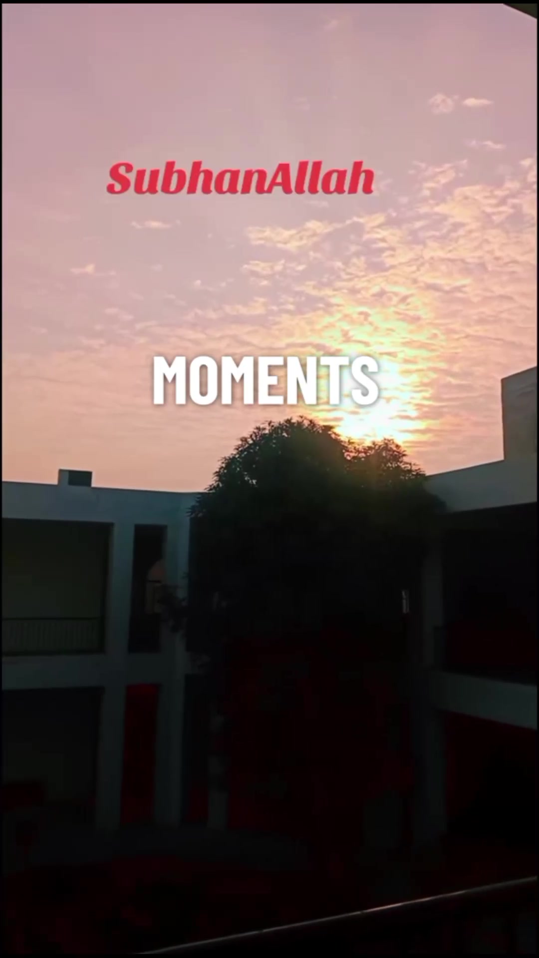 @Ayesha _.✨🫧