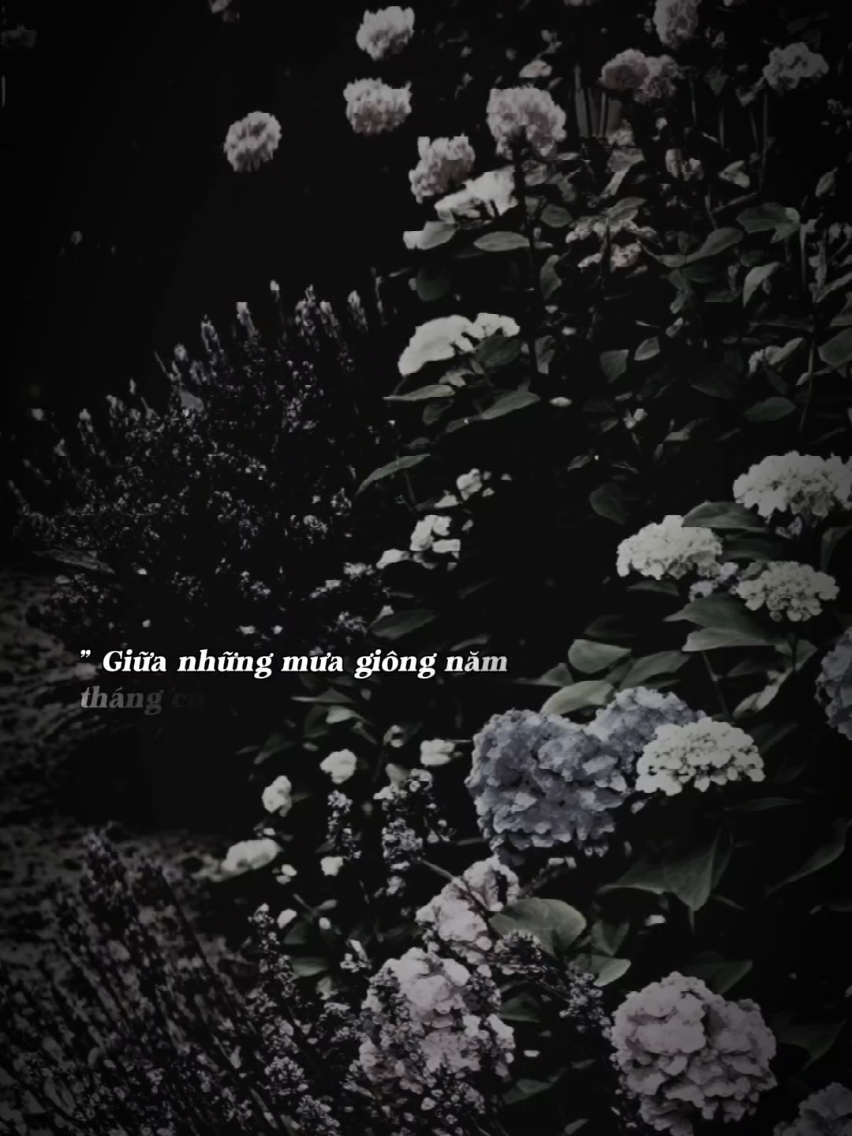 @𝐓𝐫ạ𝐦𝐌𝐮𝐬𝐢𝐜🎧